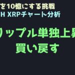 大好きなリップルを応援する｜ビットコイン、イーサリアム、リップルの値動きを解説