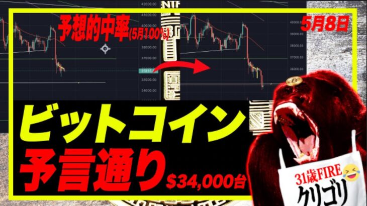 【緊急号外】驚異の予想的中率！ビットコイン予言通り$34,000台に・・・。イーロン「日本人が滅びる」日本人のダメな点を海外在住視点で解説