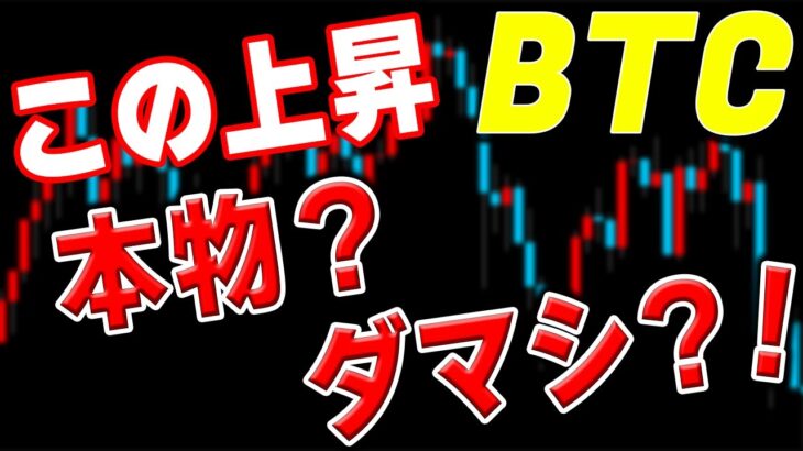 【仮想通貨BTCビットコイン】20万円幅の上昇！本物の上昇か、ダマシとなって暴落か