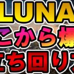 仮想通貨 LUNA今後の立ち回り方　ここから爆益？【テラ Terra(ルナ LUNA)テラUSD(UST)】