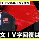 世界的投資家が警告！米国株、V字回復はない！