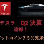 テスラ株　大速報　テスラQ2決算　ビットコイン売却の謎