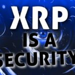 XRP Ripple: This Simple Piece Of Info Will Tear The SEC Apart!