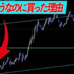 割れそうだったのに買った理由