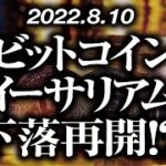ビットコイン・イーサリアム［2022/8/10］【仮想通貨・BTC・ETH・FX】※2倍速推奨