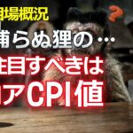 捕らぬ狸の・・・注目すべきはコアCPI値【ビットコイン相場概況】