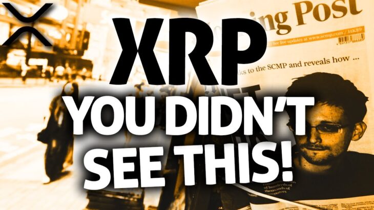 XRP Ripple: Edward Snowden Commented That The Future Of XRP Is Gonna Be Insane!