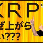 【XRP特集】XRPはなぜどうなったらいつ価格は上がる？販売停止や売買禁止の可能性も！