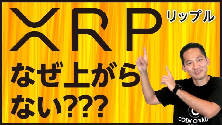 【XRP特集】XRPはなぜどうなったらいつ価格は上がる？販売停止や売買禁止の可能性も！