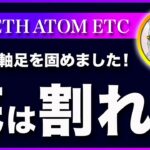 【厳しいと思います】ビットコイン・週足のロウソク足は弱々です。【仮想通貨・戦略を先出しで毎日更新】