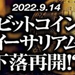 ビットコイン・イーサリアム下落再開！？［2022/9/14］【仮想通貨・BTC・ETH・FX】※2倍速推奨
