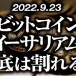ビットコイン・イーサリアム大底は割れるのか！？［2022/9/23］【仮想通貨・BTC・ETH・FX】※2倍速推奨