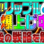 【リップル(XRP)】現在爆上げ中の理由はこれ！今後の戦略を解説【Ripple】【ING】【仮想通貨女子】【初心者必見】