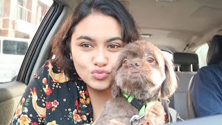 a day with my dog (aman) and chewie