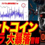 【過去最大級の大暴落間近！】ビットコイン$14,000台へクジラん潮吹き警報！w オンチェーンデータ判明！Bitcoin Whale Ratioが過去最高！w