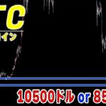 【仮想通貨ビットコイン】過去2回のセリクラから考えられるセリクラのパターンを2つお話しします