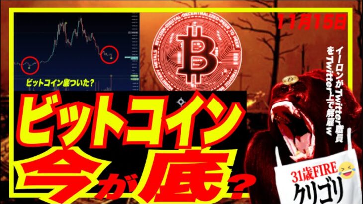 【底？】ビットコイン今が底説を検証！w Jeff Bezosがリセッション警告！FTXサムが薬物漬けだった説w