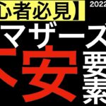 【初心者必見】12月マザーズに必ず訪れる不安要素とPPIの確認！