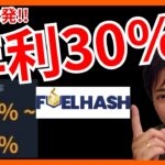 驚愕⚡最大年利30％超！ 日本企業『FUELHASH』仮想通貨サービスとは❔