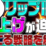 【リップル裁判】もうすぐ決着がつく！判決後の戦略と買い時を徹底解説【XRP】【仮想通貨女子】【初心者必見】