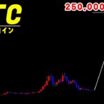 次の半減期までにビットコインが25万ドルになるのかお答えします【仮想通貨ビットコイン/BTC】