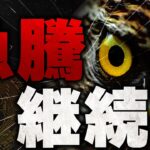 仮想通貨市場はバブル突入？今すぐリップルやビットコインに手を出すのは待ってください！【XRP】【BTC】【仮想通貨】