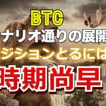 ビットコインはシナリオ通りの展開。だけどポジションをとるには時期尚早