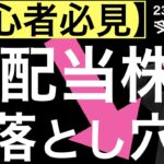 【初心者必見】高配当株3つの落とし穴