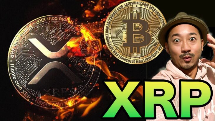 【XRPの闇】ビットコイン信者がXRPを好きになれない理由