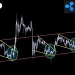 主役は遅れてやってくる【XRP リップル】