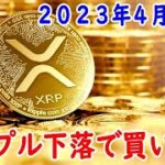 (XRP)リップル下落したので買い増し ２０２３年４月２１日