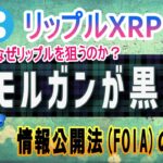 【リップル・XRP】JPモルガンに狙われる？！リップルXRP！【仮想通貨】