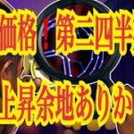 【仮想通貨リップルXRP情報局】仮想通貨リップルXRP価格！！第二四半期に３０％上昇余地ありか⁈