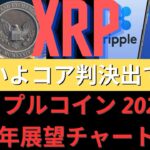 リップルコイン 2023年 2024年展望チャート分析！いよいよコア判決出てきた！ 本当の終わりが見えます！リップル訴訟敗訴危機のSEC議長、「非倫理的退場予告」！- BTC XRP