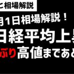【5月1日のゆるっと相場解説】日経平均株価は直近高値超え！バブル以来の高値水準まであとちょっと！ズボラ株投資