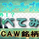 【SnailBrook(スネール・ブルック)】CAW銘柄？いちから調べてみた【仮想通貨】イーロンマスク