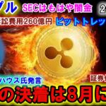 リップル（XRP）SECとの裁判は8月に決着！？訴訟費用がやばすぎる！アメリカの仮想通貨取引所が破産！どうなってしまうのか？