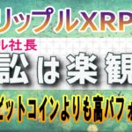 【リップル・XRP】リップル社長がインタビューで訴訟は楽観的と発言！【仮想通貨】XRP価格分析