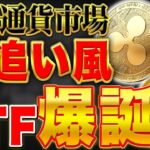 リップル世界2位に躍り出るか【神回のETF】仮想通貨超絶追い風