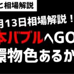 【6月13日のゆるっと相場解説】日本株バブルへGOか？出遅れ銘柄への循環物色はあるのか？ズボラ株投資