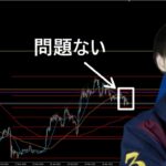 【BTC問題ない】　アルトコインの暴落とビットコインの今後　【BTC場分析】