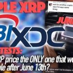 Ripple XRP: NEW SBI/XDC Connection & More Tests Suggest XRP The ONLY Crypto To Watch On Jun 13