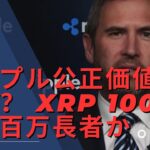 リップル対SEC事件は来週に解決されます！ リップル公正価値22K？ XRP 100面積百万長者か！ リップルバイナンスCEO、私は死んでいない！ – BTC XRP