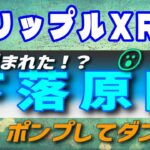 【リップル・XRP】ヒンマン文書の下落はシナリオ通り！？・あとはFRBの利上げも原因か？【仮想通貨】