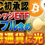 特大ファンダ、仮想通貨の未来、リップルの未来は明るい