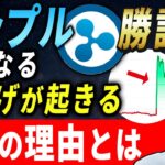 【リップル勝訴】第2の爆上げはもうすぐ？今知っておくべき投資戦略とは【XRP】【仮想通貨】