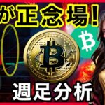【BTC,ETH,XRP,BCH分析】急落の原因はクジラの売りか❓週足徹底考察！ 4銘柄テクニカル徹底分析