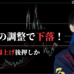【CPIが爆上げ後押しか？】　ビットコインは日足の調整です　【BTC場分析】