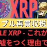 Ripple XRP – これがあなたが嘘をつく理由です！ リップル先にどうしようかな？ リップル再買収税急増！ SEC、「上訴しないで別のカード？」- BTC XRP