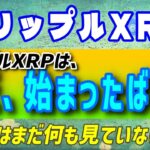 【リップル（XRP）】上昇の兆し。まだ始まったばかり！？【仮想通貨】取引量と時価総額から未来を読む
